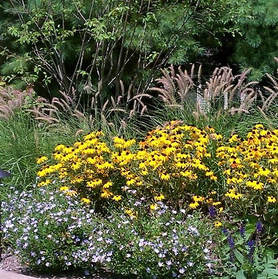 Pennsylvania Delaware Chester New Castle County Landscape Designer Design Garden Installer Plantings Native Plants